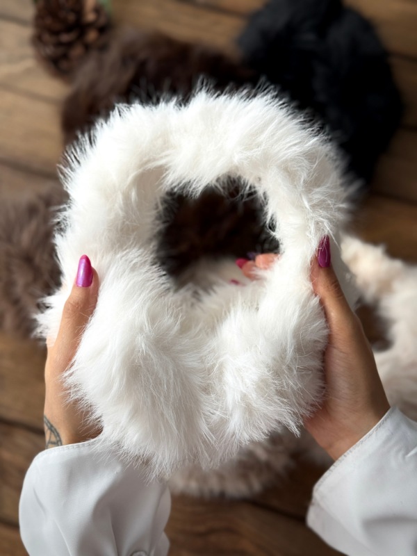 Picsart_25-12-09_13-03-54-585