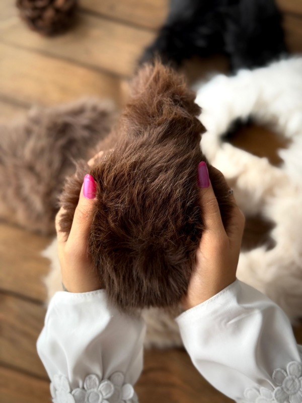 Picsart_25-12-09_13-04-48-388